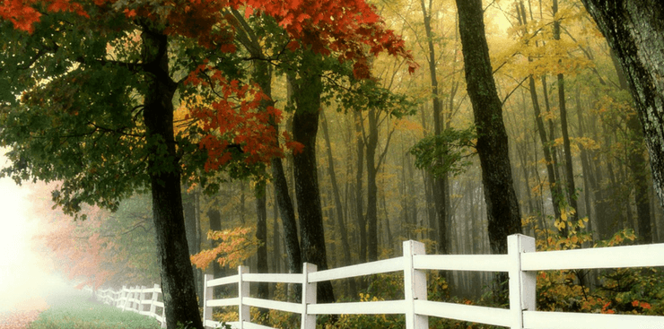 Fall fenceline | Home for Fall | DRA Homes